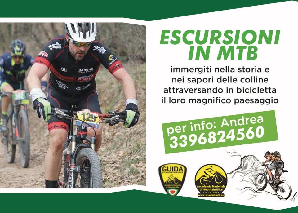 Immagine non trovata